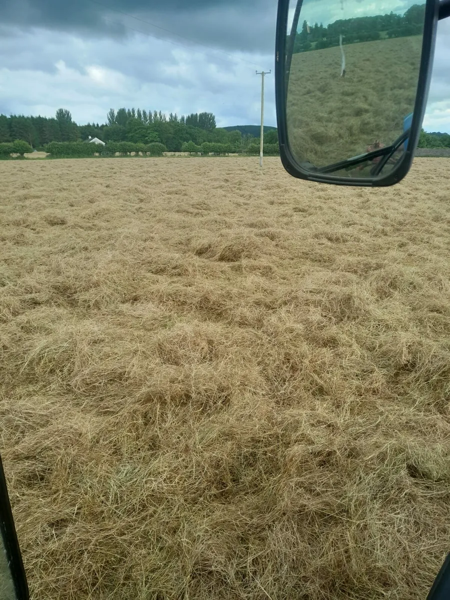Hay and straw for sale - Image 1