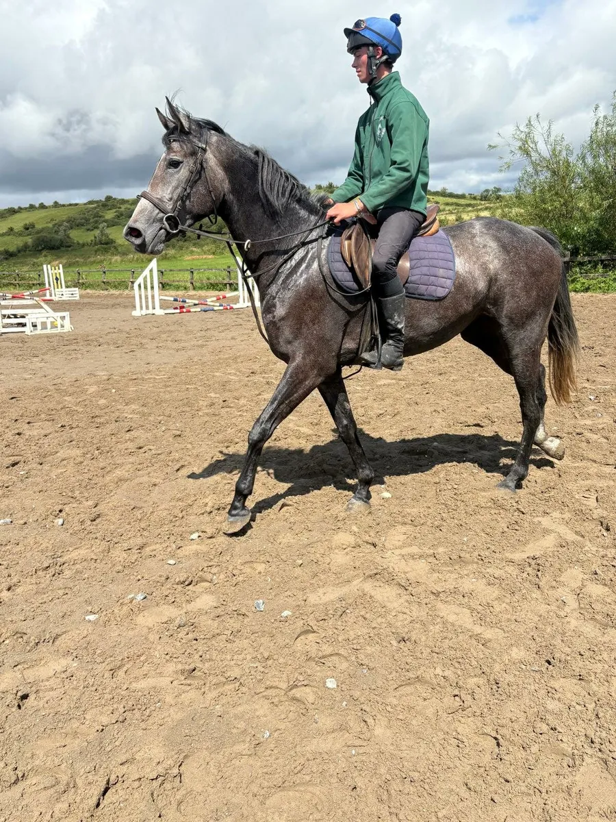 Drumshanbo sale this Saturday - Image 1