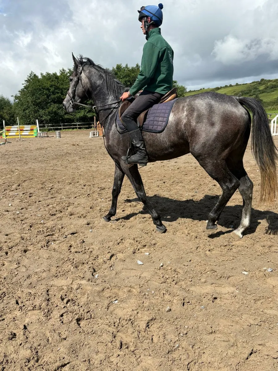 Drumshanbo sale this Saturday - Image 2