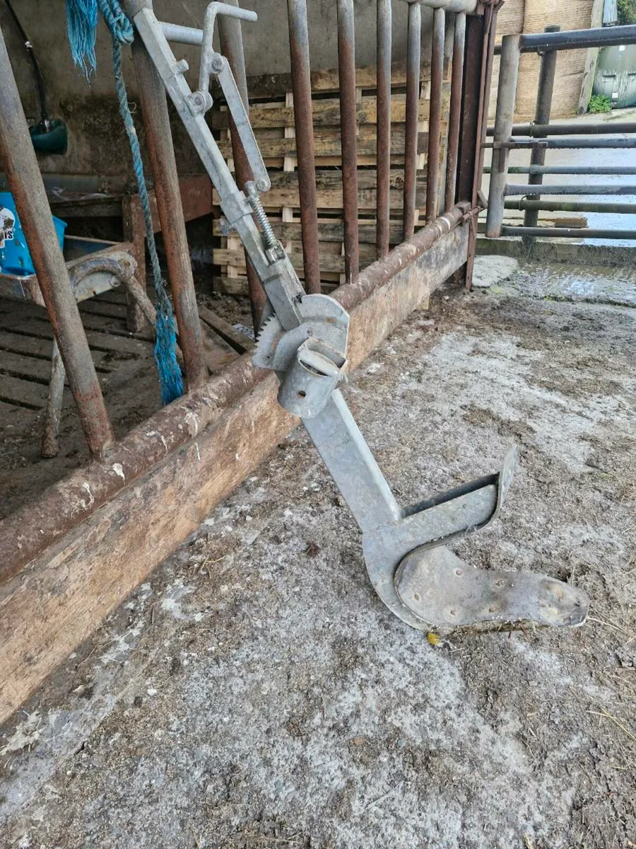 Head scoop - Image 1