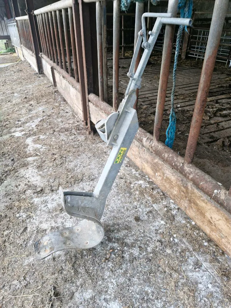 Head scoop - Image 2