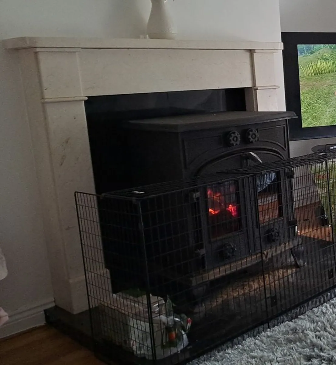Stove with back boiler - Image 1