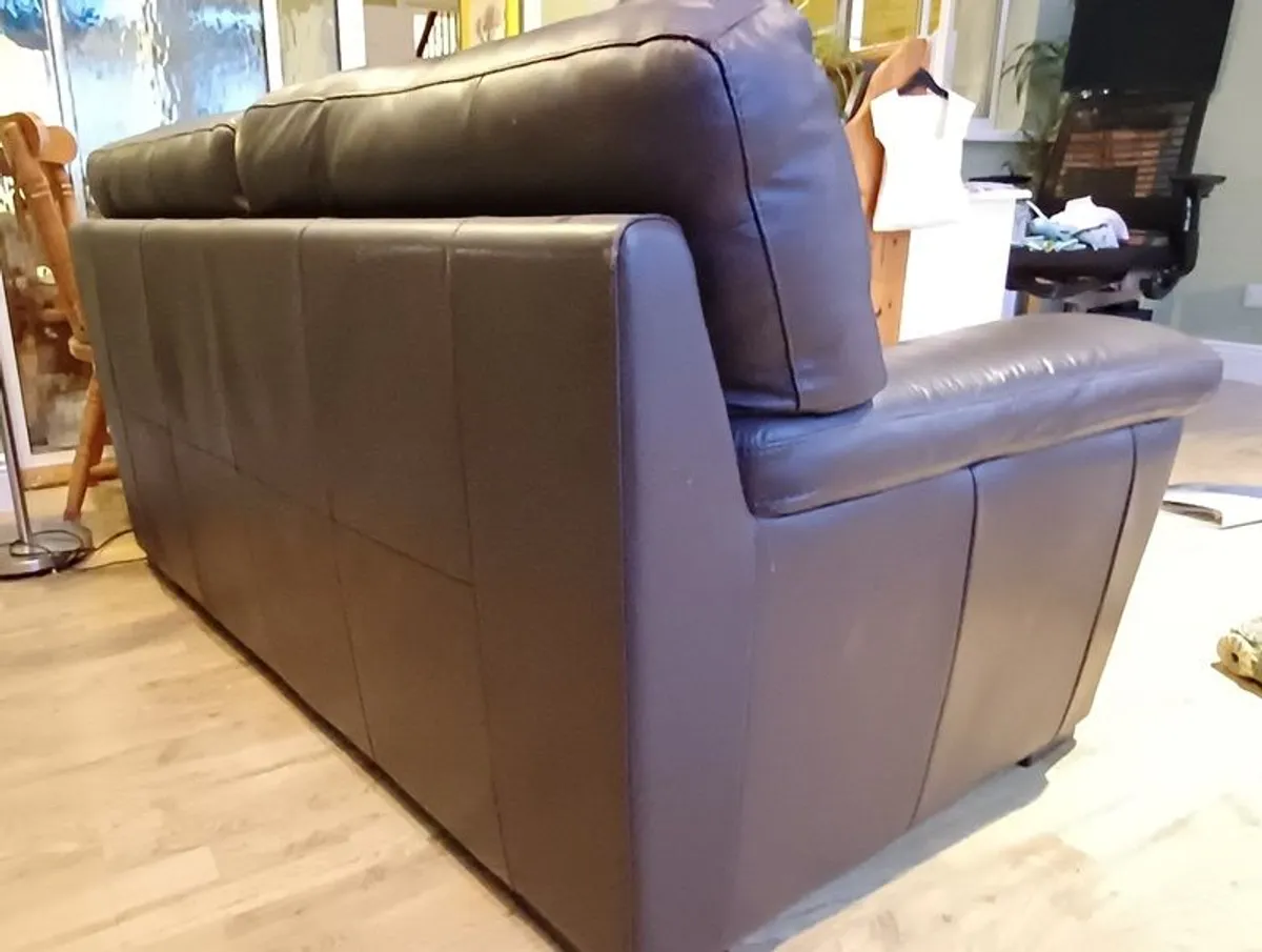 Leather Sofa 2-seater - Image 3