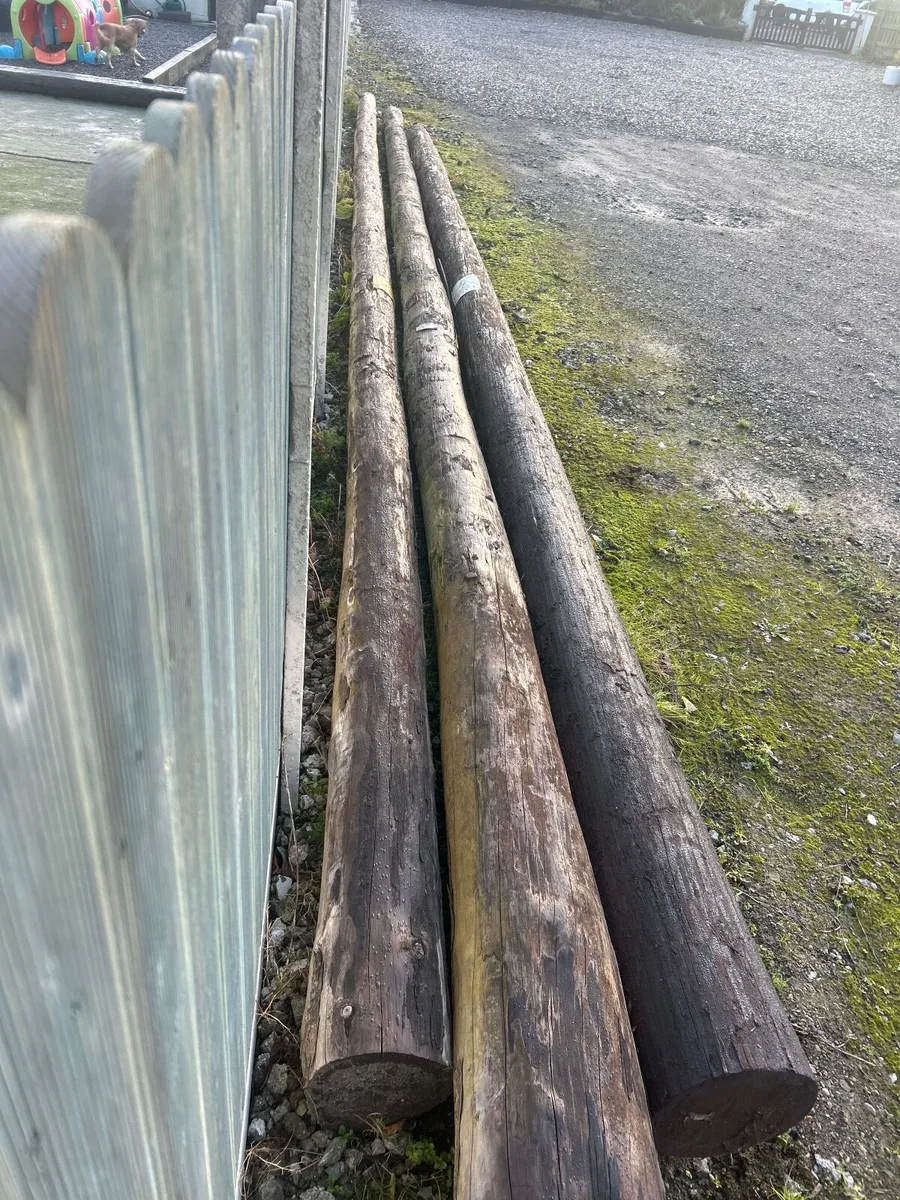 Esb poles