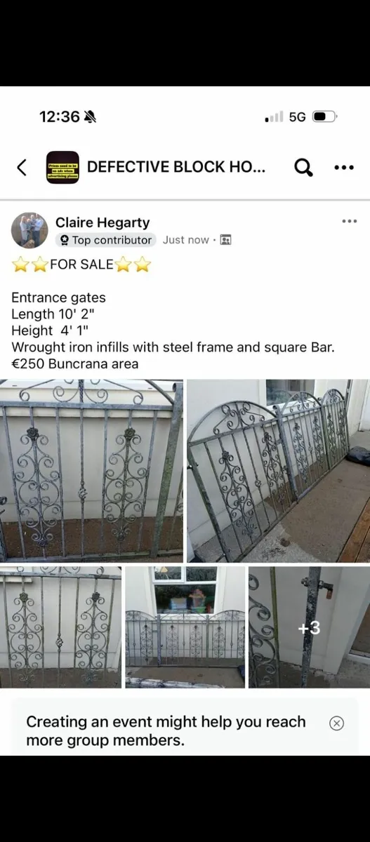 Entrance Gates - Image 1