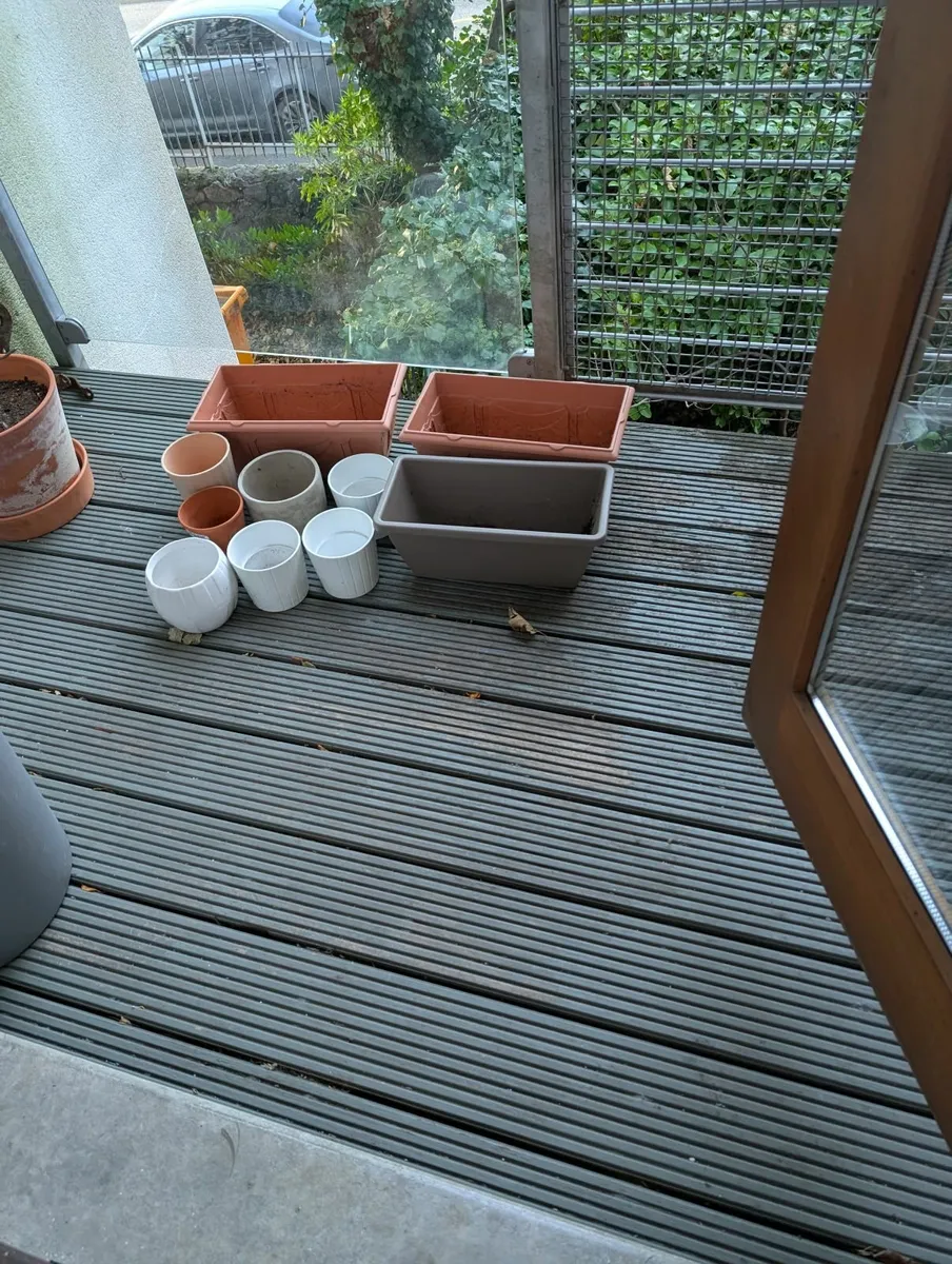 Garden - Image 1