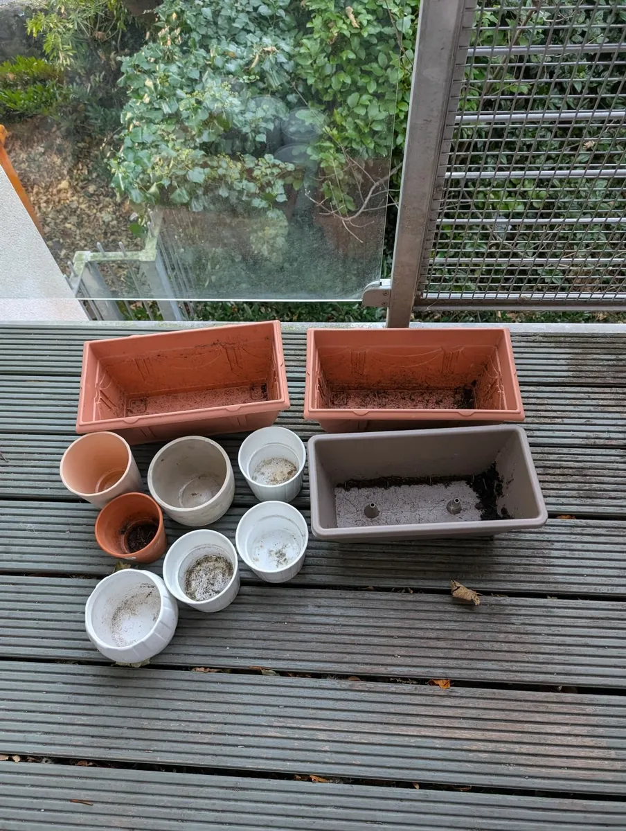 Garden - Image 2