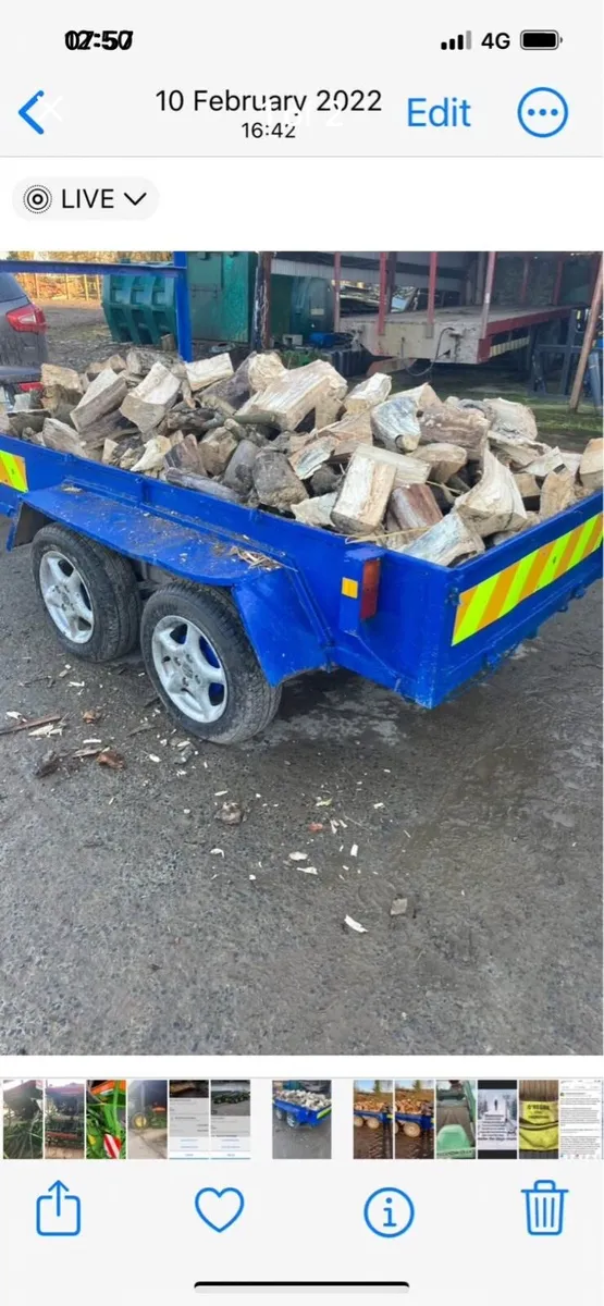 Firewood