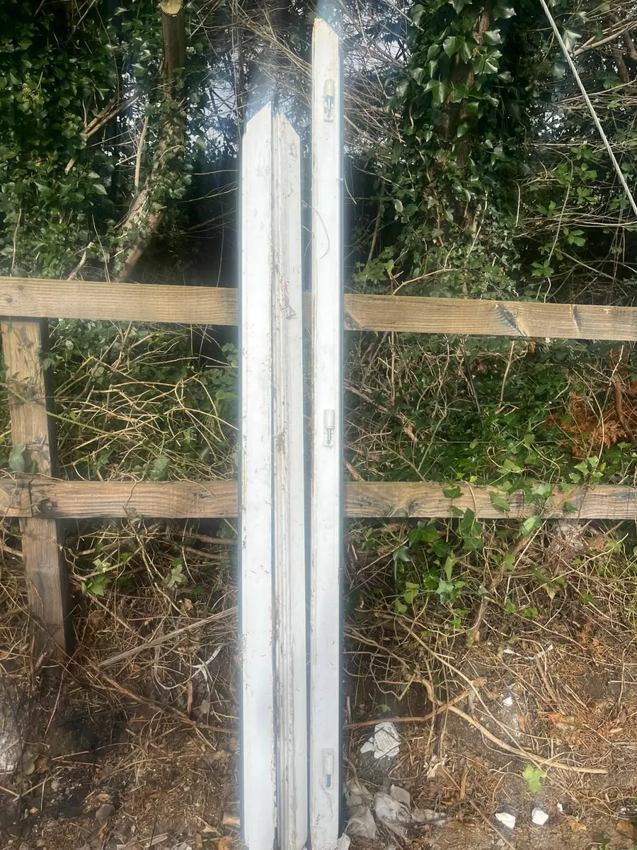 Patio doors - Image 3