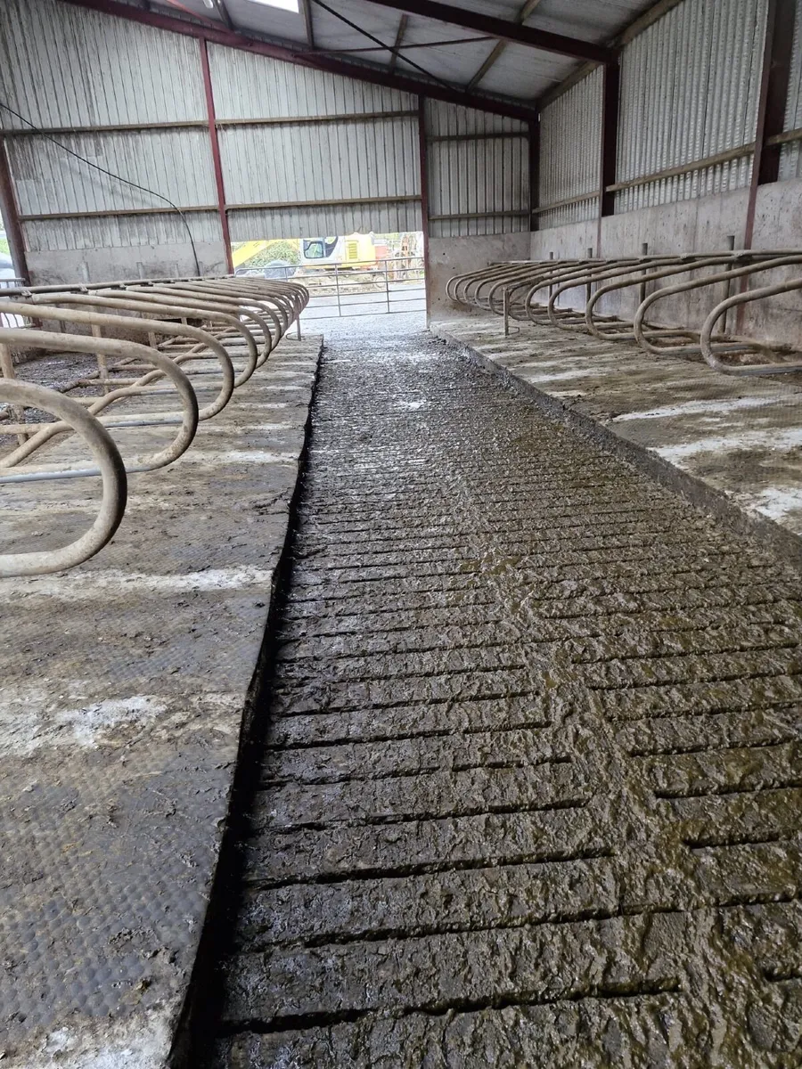 Contract rearing available - Image 1