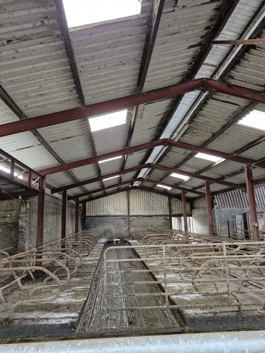Contract rearing available - Image 2