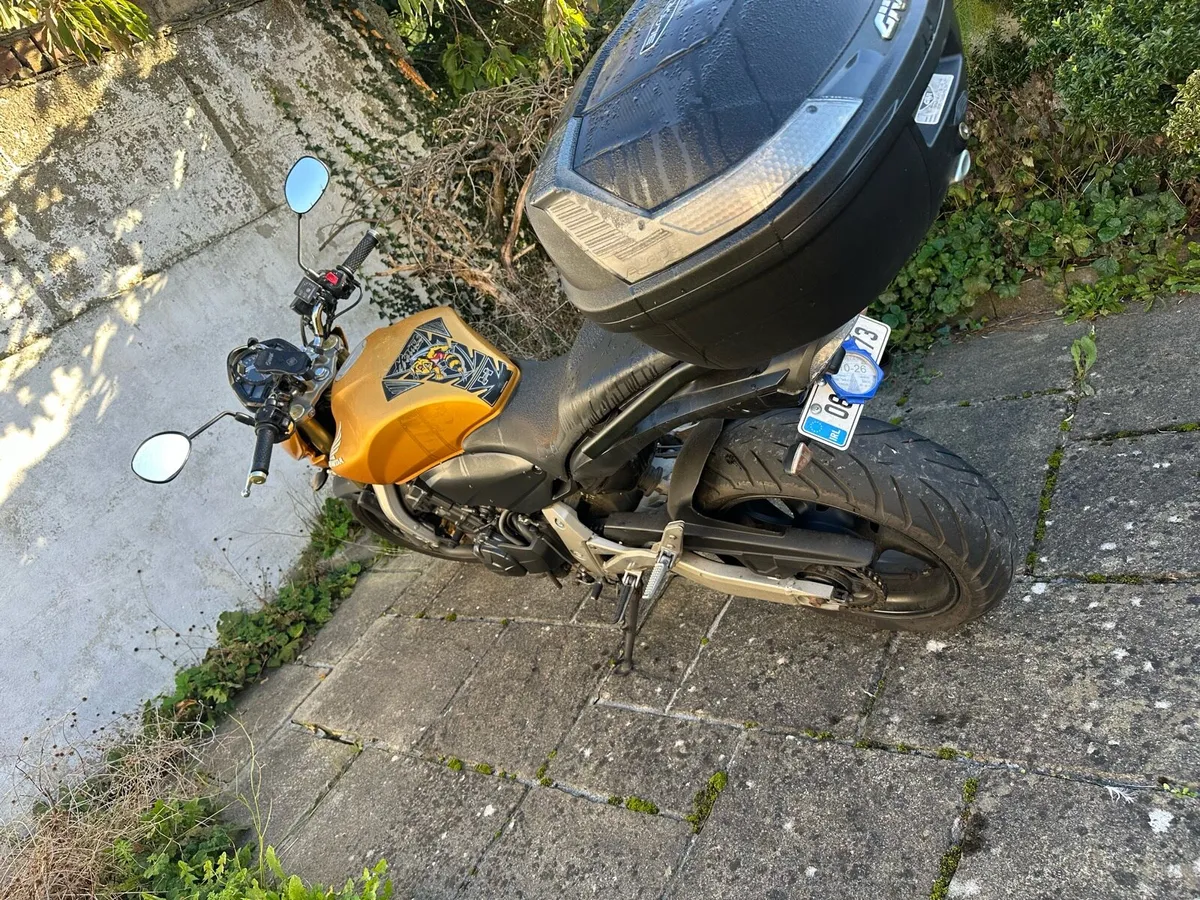 Honda Hornet CB 600 - Image 2