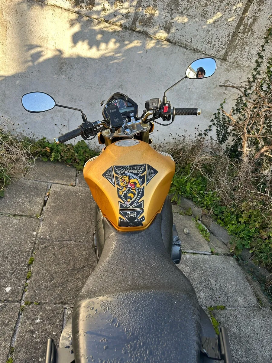Honda Hornet CB 600 - Image 3