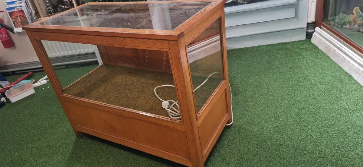 Shop Display Cabinet - Oak, Light, Doors & Shelves - Image 1