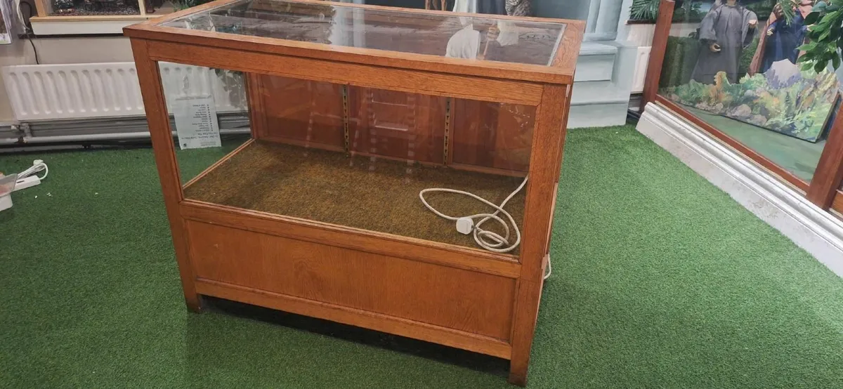 Shop Display Cabinet - Oak, Light, Doors & Shelves - Image 2
