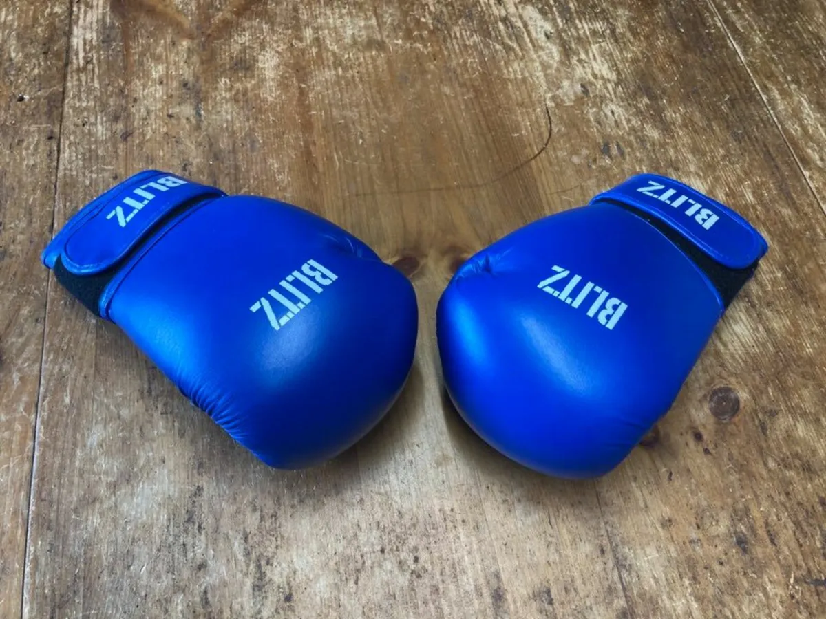 Blitz Taekwondo Sparring Set - Image 3