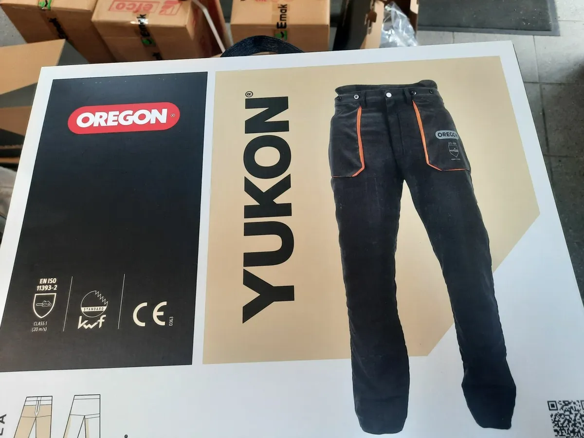 Chainsaw Safety Gear - Image 2