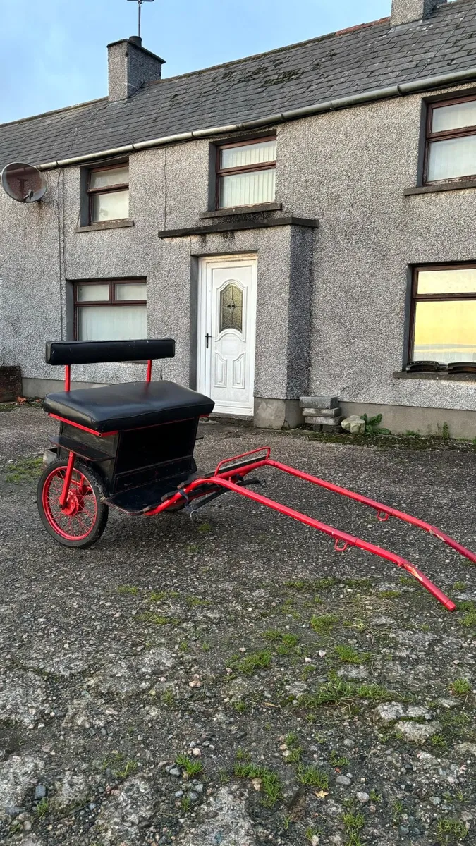 Road cart - Image 1