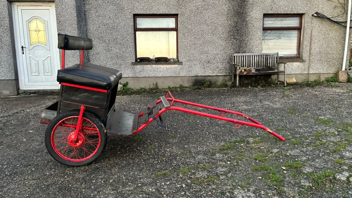 Road cart - Image 2
