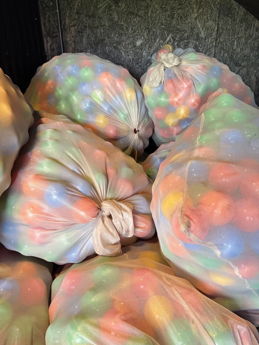Ball Pit & 14,000 balls - Image 3