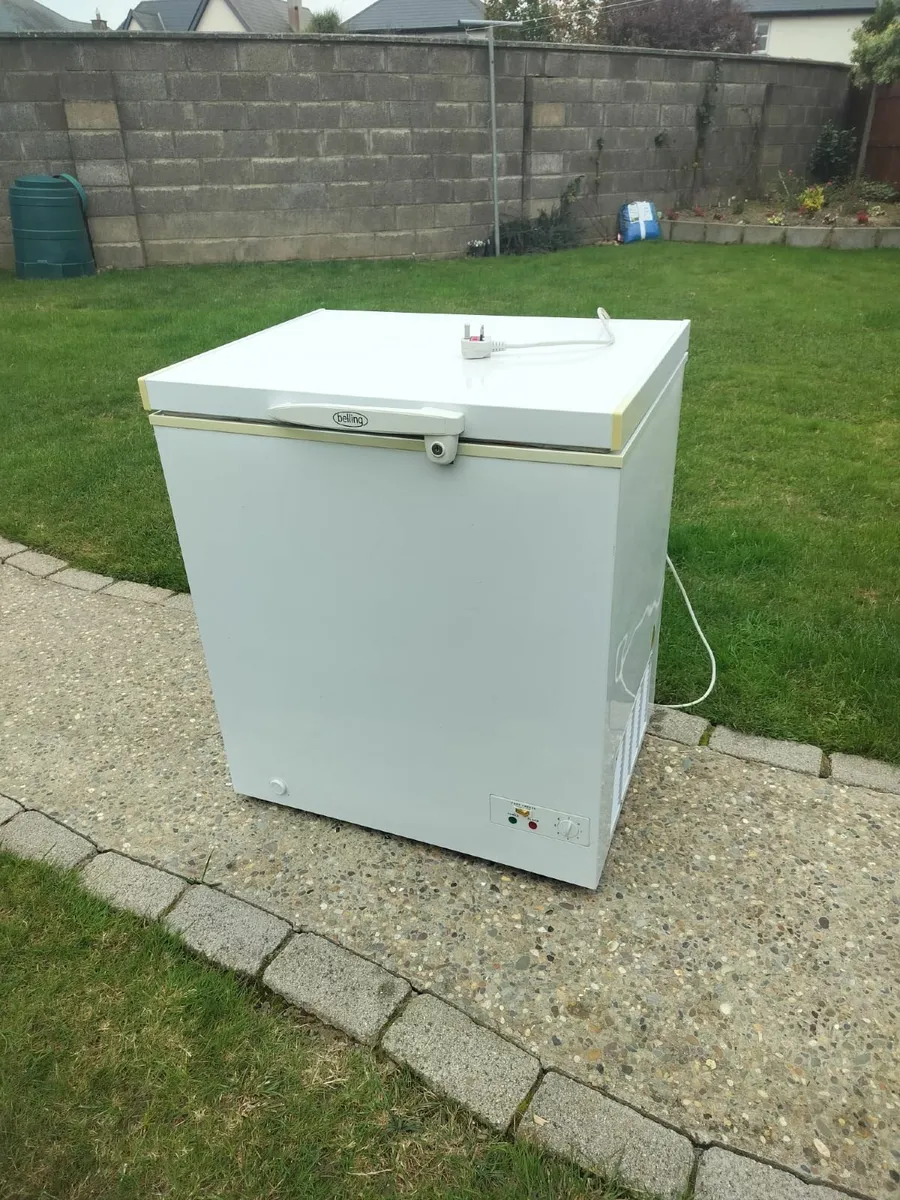 Chest Freezer - Image 1