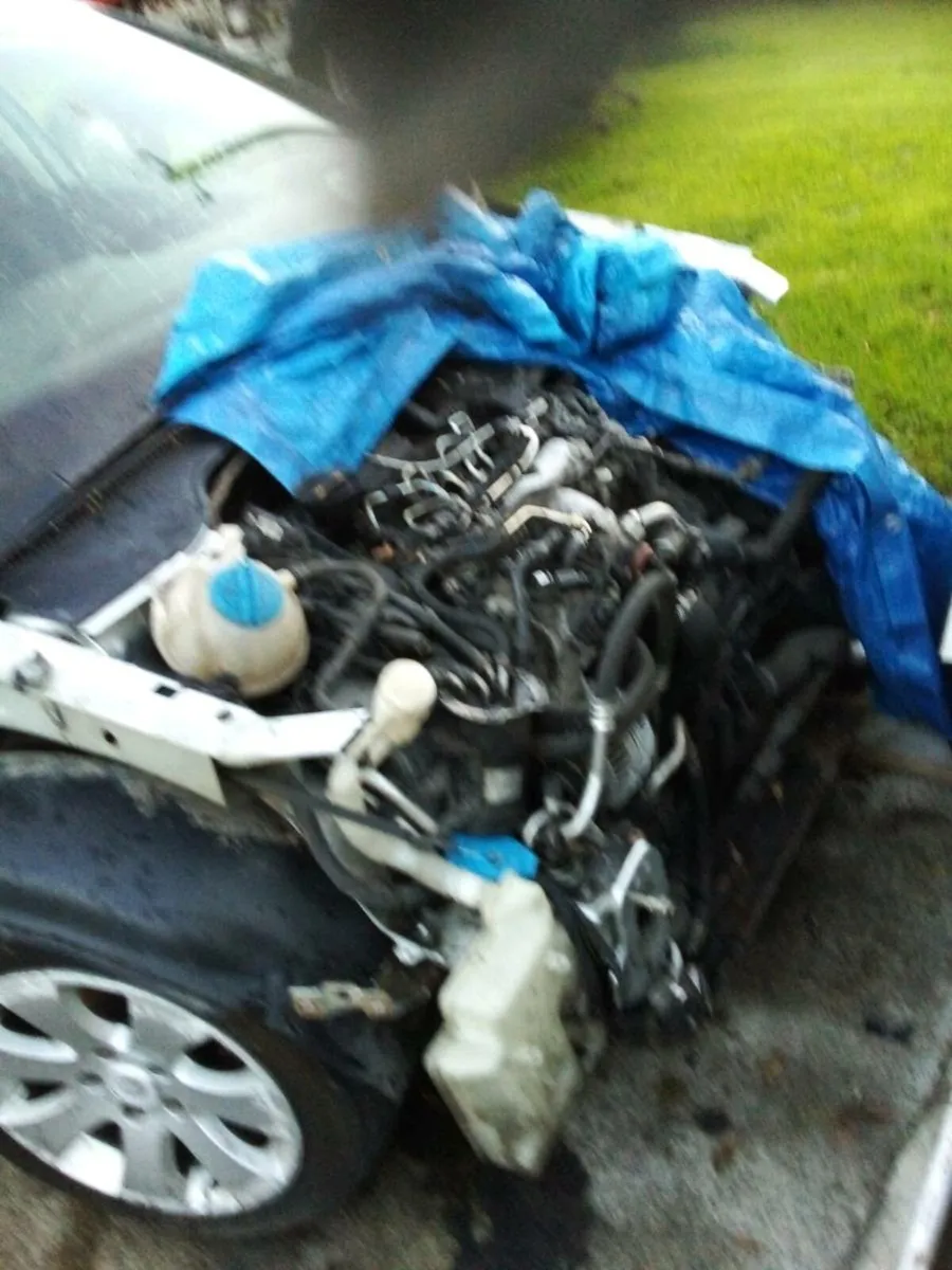 Car - Image 4
