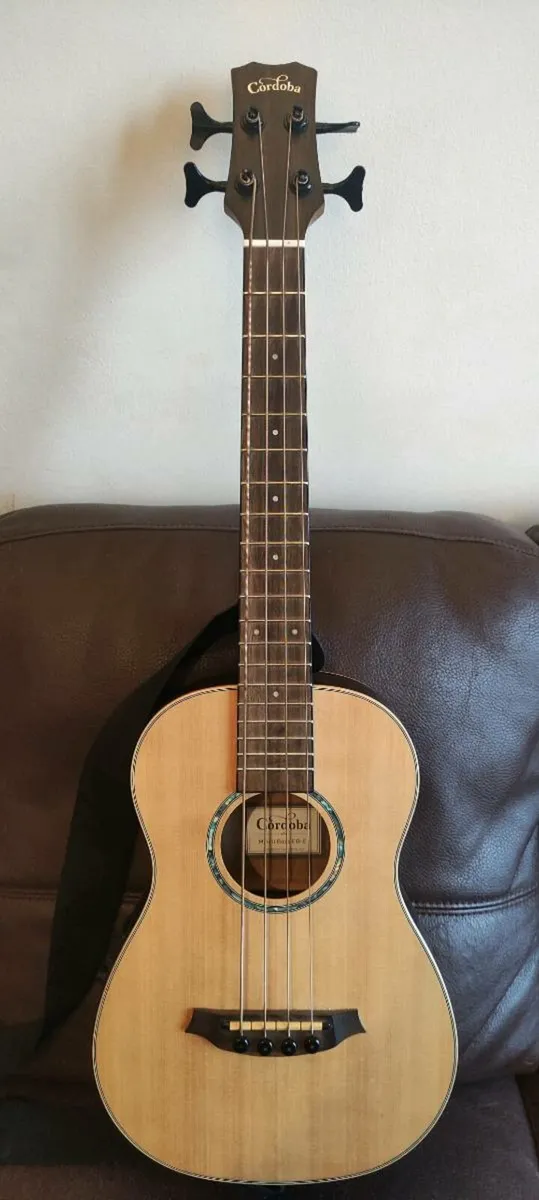 Mini Bass - Image 1