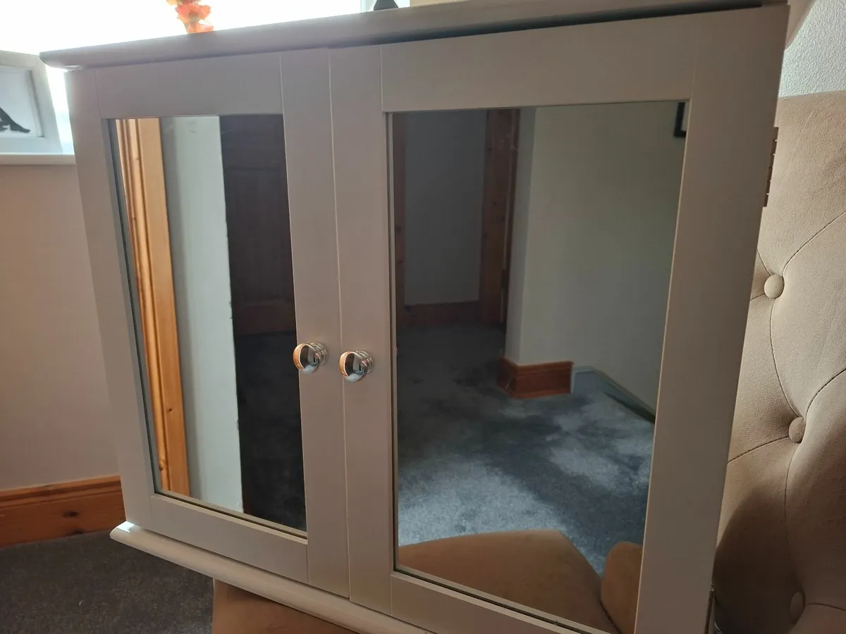 Bathroom Cabinet - Image 1