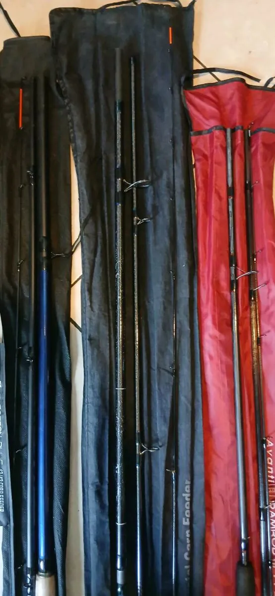 Coarse fishing rods - Image 3