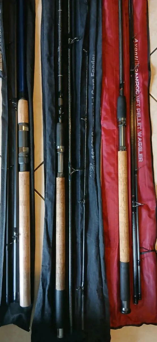 Coarse fishing rods - Image 4