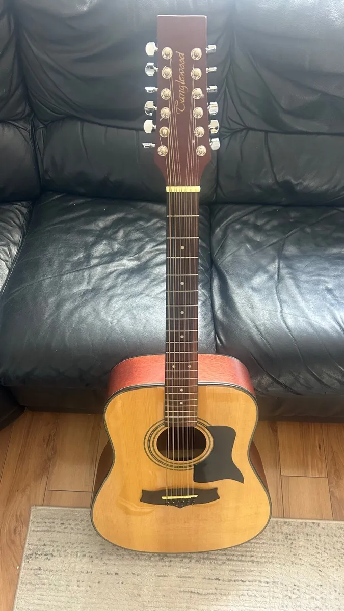 12 string Guitar - Image 1