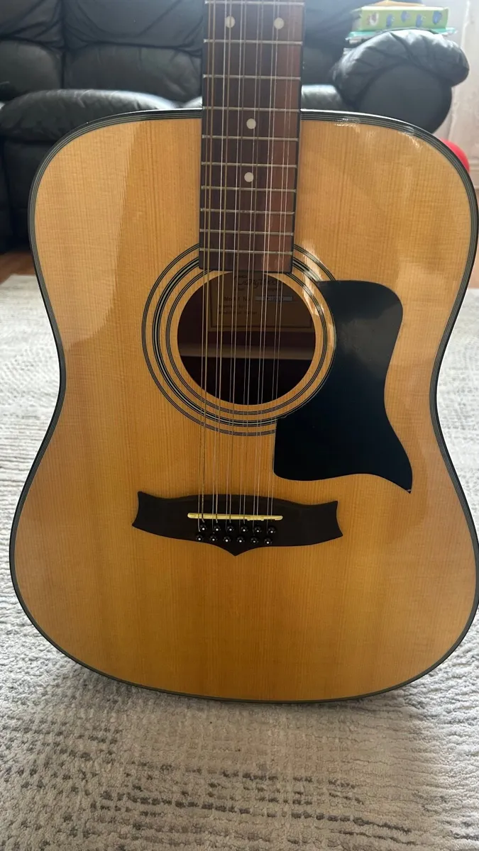 12 string Guitar - Image 2