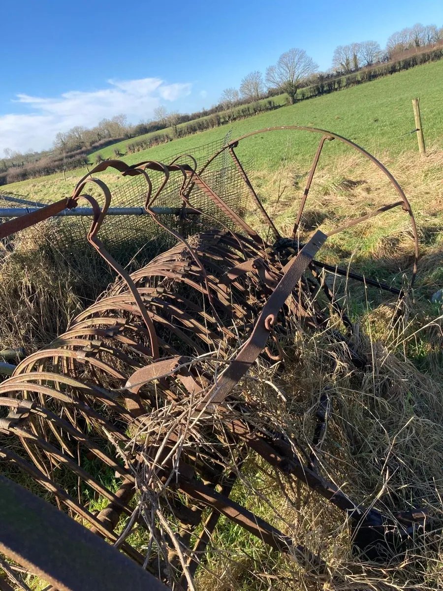 Hay Rake - Image 3