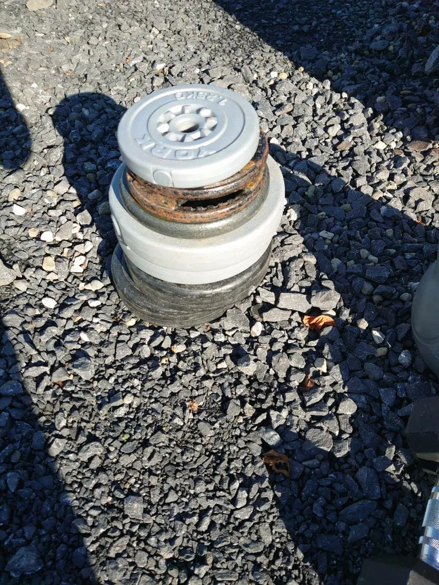 Weights - Image 4