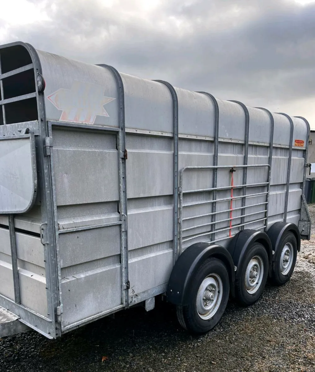 Aerlite Trailer 14x6 - Image 2