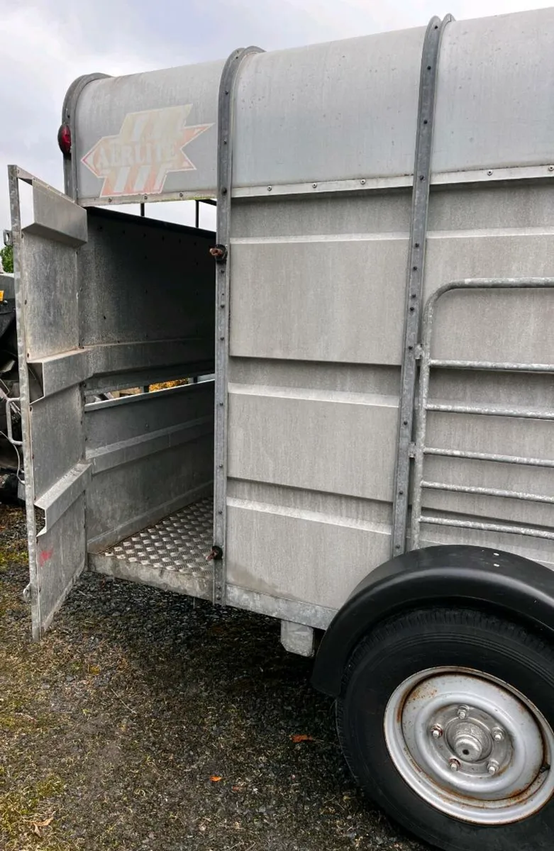Aerlite Trailer 14x6 - Image 4