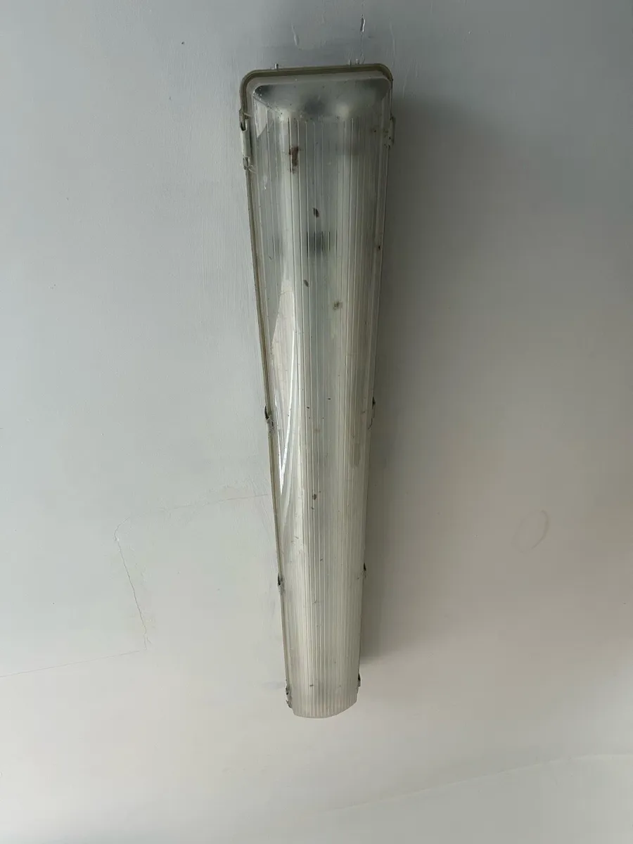Fluorescent light - Image 1