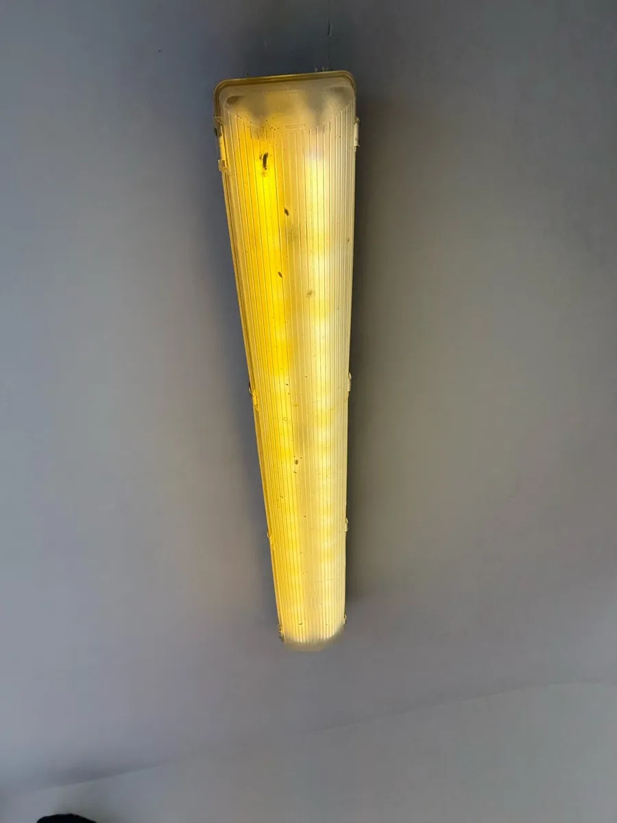 Fluorescent light - Image 2