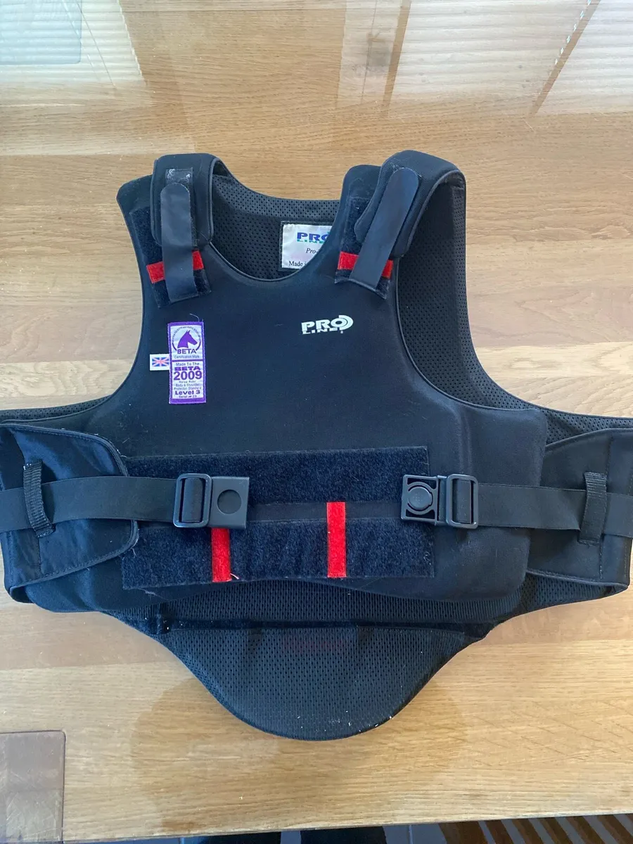Back protector - Image 1