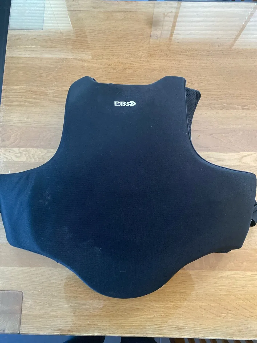 Back protector - Image 2