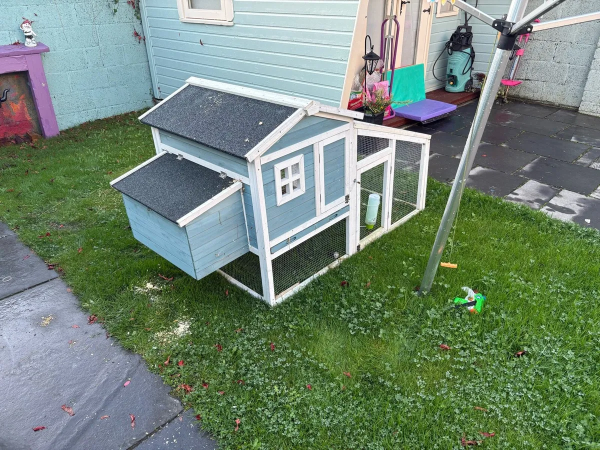 2 guinea pigs and large hutch - Image 2