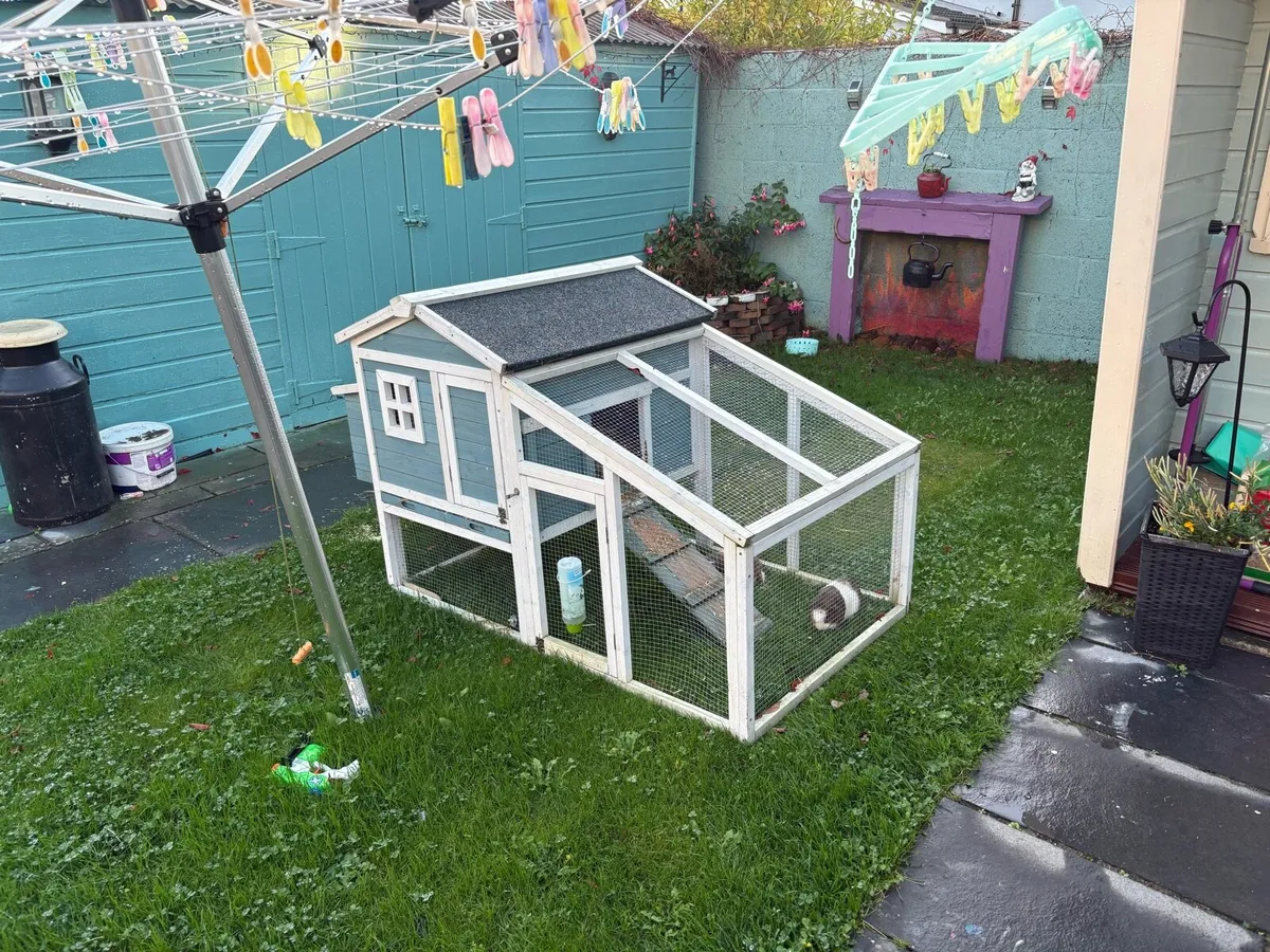 2 guinea pigs and large hutch - Image 3