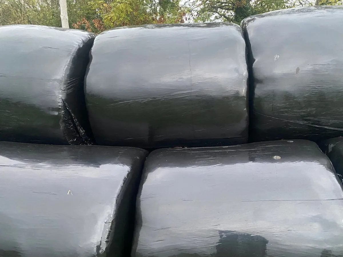 Silage bales - Image 2