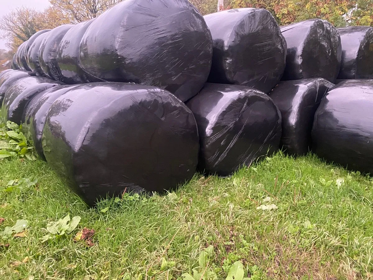 Silage bales - Image 1