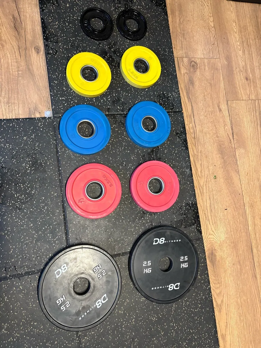 OLYMPIC GYM WEIGHT FRACTIONAL PLATES!! - Image 1
