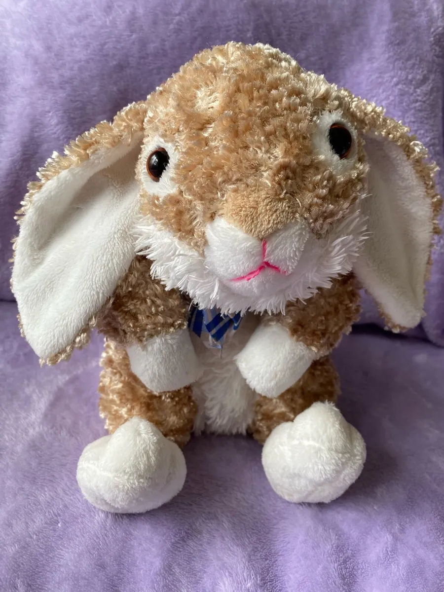 Dan Dee Plush Bunny 🐰 Soft Toy - Image 1