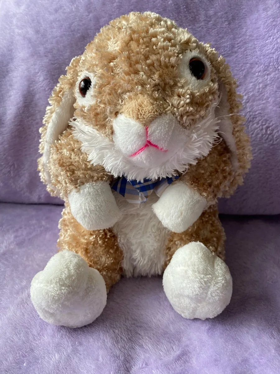 Dan Dee Plush Bunny 🐰 Soft Toy - Image 2