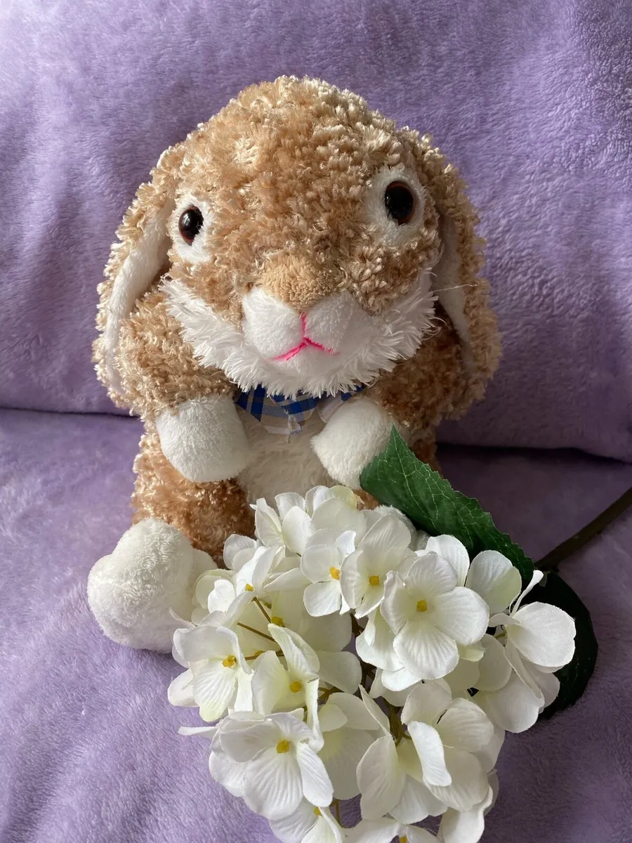 Dan Dee Plush Bunny 🐰 Soft Toy - Image 4