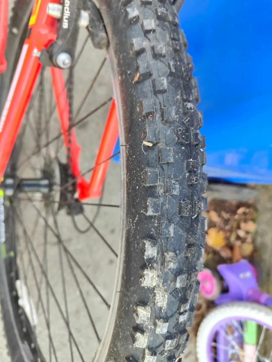 Bentini fury bike - Image 2