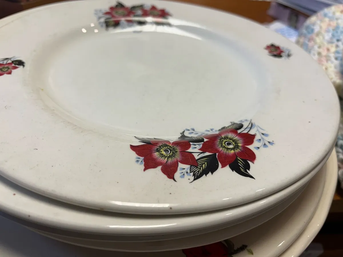 Plates - Image 1